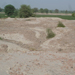5.Fields,Mound,Shah Machine,Multan.03-09-09